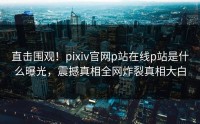 直击围观！pixiv官网p站在线p站是什么曝光，震撼真相全网炸裂真相大白