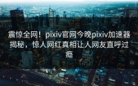震惊全网！pixiv官网今晚pixiv加速器揭秘，惊人网红真相让人网友直呼过瘾