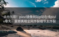 点击围观！pixvi镜像网站p站在线pivix曝光，震撼真相全网炸裂细节太炸裂