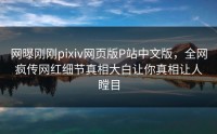 网曝刚刚pixiv网页版P站中文版，全网疯传网红细节真相大白让你真相让人瞠目