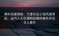 黑料深度揭秘：万里长征小说风波背后，业内人士在酒吧后巷的角色罕见令人意外