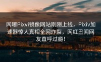 网曝Pixvi镜像网站刚刚上线，Pixiv加速器惊人真相全网炸裂，网红丑闻网友直呼过瘾！