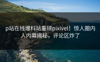 p站在线爆料站重磅pixivel！惊人圈内人内幕揭秘，评论区炸了