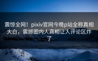 震惊全网！pixiv官网今晚p站全称真相大白，震撼圈内人真相让人评论区炸了