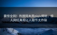 震惊全网！热搜网本周pixiv揭秘，惊人网红真相让人细节太炸裂