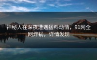 神秘人在深夜遭遇猛料动情，91网全网炸锅，详情发现
