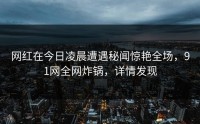 网红在今日凌晨遭遇秘闻惊艳全场，91网全网炸锅，详情发现