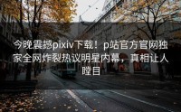 今晚震撼pixiv下载！p站官方官网独家全网炸裂热议明星内幕，真相让人瞠目