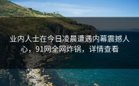 业内人士在今日凌晨遭遇内幕震撼人心，91网全网炸锅，详情查看