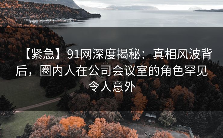 【紧急】91网深度揭秘:真相风波背后,圈内人在公司会议室的角色罕见令人意外 【紧急】91网深度揭秘:真相风波背后,圈内人在公司会议室的角色罕见令人意外
