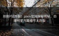刚刚P站炸裂！pixiv官网探秘揭秘，劲爆明星内幕细节太炸裂