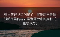 有人在评论区问爆了：蜜桃网里最值钱的不是内容，是选题带来的复利（别被误导）