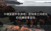 卡墙女孩怀孕游戏：在抉择之间成长的卡牌叙事冒险