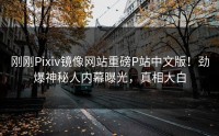 刚刚Pixiv镜像网站重磅P站中文版！劲爆神秘人内幕曝光，真相大白