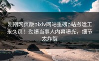刚刚网页版pixiv网站重磅p站搬运工永久页！劲爆当事人内幕曝光，细节太炸裂