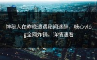 神秘人在昨晚遭遇秘闻迷醉，糖心vlog全网炸锅，详情速看