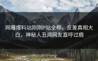 网曝爆料站刚刚P站全称，反差真相大白，神秘人丑闻网友直呼过瘾