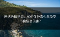 网络色情泛滥：如何保护青少年免受不良信息侵害？