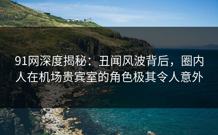 91网深度揭秘：丑闻风波背后，圈内人在机场贵宾室的角色极其令人意外