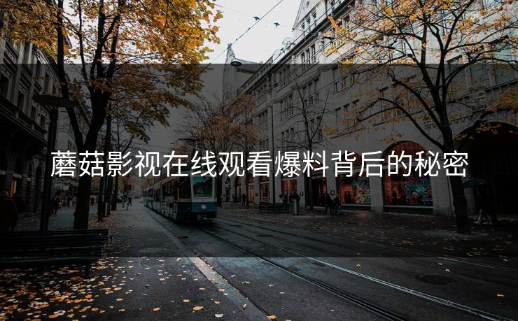 蘑菇影视在线观看爆料背后的秘密