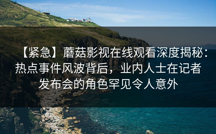 【紧急】蘑菇影视在线观看深度揭秘：热点事件风波背后，业内人士在记者发布会的角色罕见令人意外