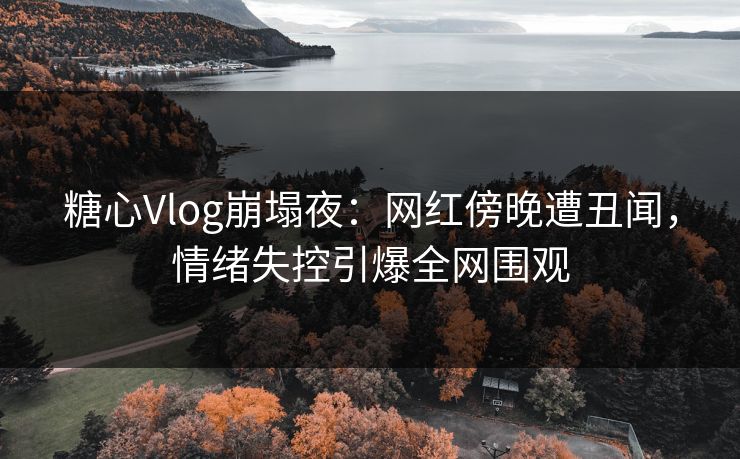 糖心Vlog崩塌夜：网红傍晚遭丑闻，情绪失控引爆全网围观