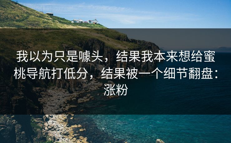 我以为只是噱头，结果我本来想给蜜桃导航打低分，结果被一个细节翻盘：涨粉